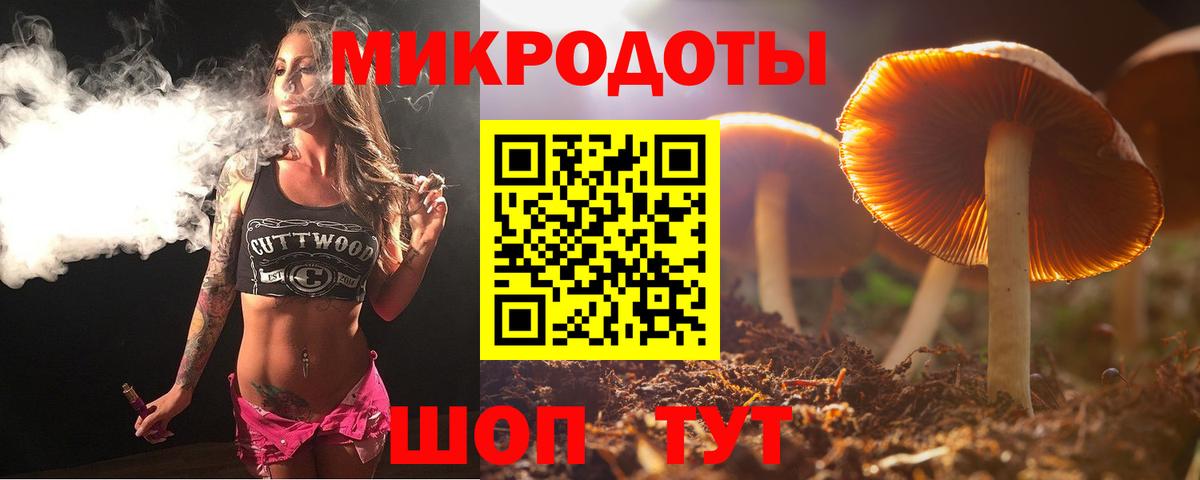 Псилоцибиновые грибы Cubensis Самара